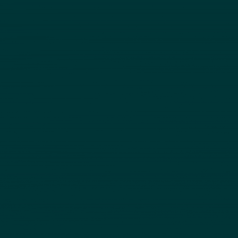 BRIDGE ICON