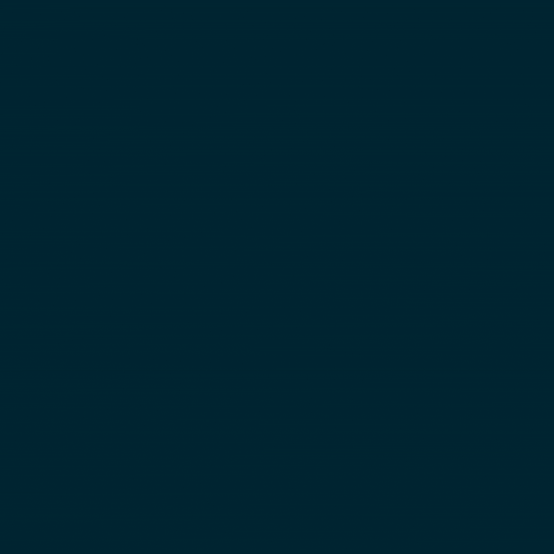 NES ICON